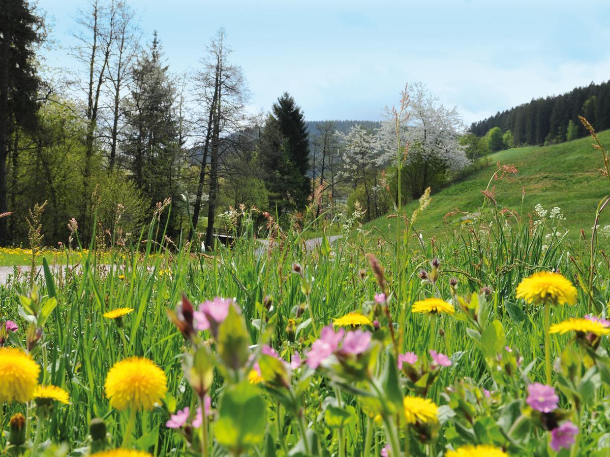 Hotel Waldlust Baiersbronn Eksteriør billede