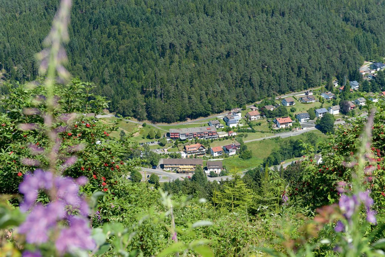 Hotel Waldlust Baiersbronn Eksteriør billede